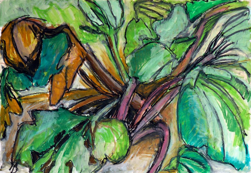 Marie-Luise Dietl, Rhabarber mit gelbem Blatt, 2020, Ölpastell, 58 x 83cm